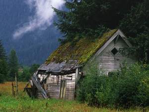 Shed in Field out side Portland